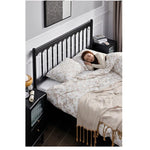 レッドオーク・パイン製のおしゃれなベッド - 洗練されたデザインで快適な睡眠を実現! hsxz-2157