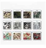 アッシュ材使用モダンチェア - シンプルでスタイリッシュなデザインの快適な座り心地 hsxz-2175