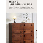 シンプルモダンな多層板キャビネット - 幅広い収納力とスタイリッシュデザインの家具 hsxz-2198