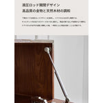 シンプルモダンな多層板キャビネット - 幅広い収納力とスタイリッシュデザインの家具 hsxz-2198