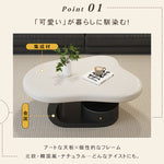 モダンデザイン センターテーブル リビング用有機フォルムのローテーブル 収納付きブラックベース htyjj-6569