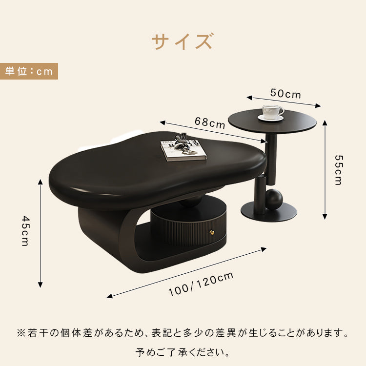 モダンデザイン センターテーブル リビング用有機フォルムのローテーブル 収納付きブラックベース htyjj-6569