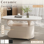 北欧風モダンリビングテーブル 美しい曲線フォルムのマーブル調天板デザイン htyjj-6613