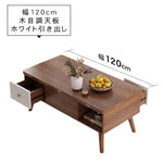 無垢材&銅&セラミック使用の高級センターテーブル hx-1566