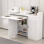 キャビネット ホワイト カラー1 カラー2hzyl-3484