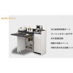 キャビネット ホワイト カラー1 カラー2hzyl-3484