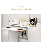 キャビネット ホワイト カラー1 カラー2hzyl-3484