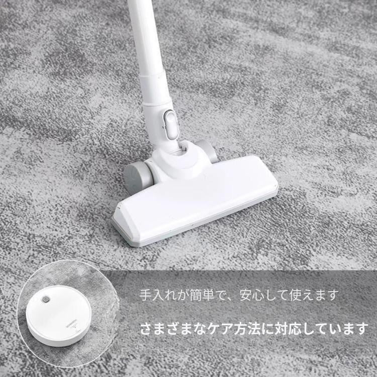 モダンシンプル ラグマット ブラック&ホワイト ストライプ柄 リビング 寝室 カーペット 軽奢風 拭くだけ簡単 skok-14