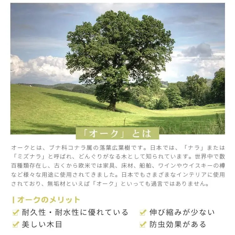 ラック ブラウン オーク材 ysys-b3173-rack