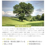 ラック ブラウン オーク材 ysys-b3173-rack