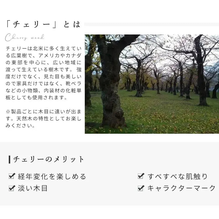 チェア ブラウン チェリー材 ラタン エアレザー ysys-l2122-chair