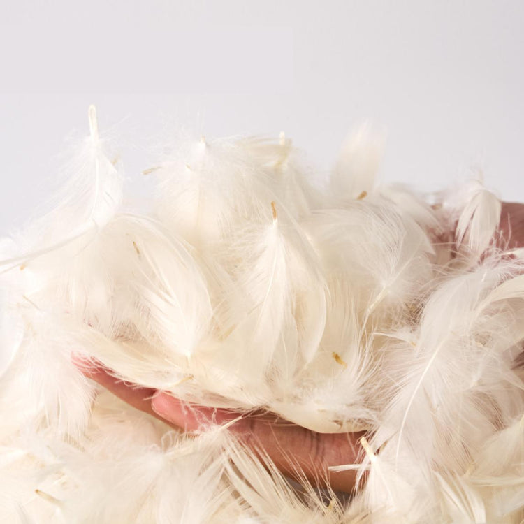 背もたれ角度調節ソファベッド 1人掛け・2人掛け対応 コンパクト設計 リクライニング機能付き モダンデザイン hemw-1109