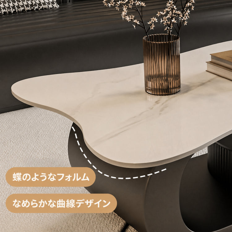 センターテーブル おしゃれ セラミック天板 金属脚 ホワイト ブラック 幅100cm 幅120cm モダンデザイン リビング用 ローテーブル 応接 二人暮らし ファミリー対応 fel-1957