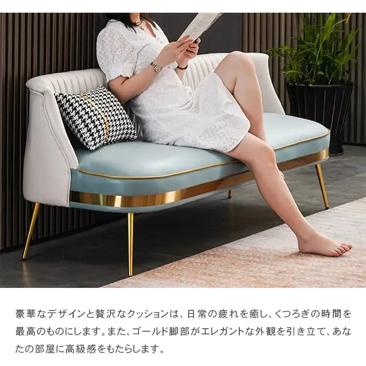 ソファー ベージュ＋ミントグリーン ベージュ＋オレンジ ベージュ＋グレー ベージュ＋イエロー オレンジ＋ミントグリーン オレンジ＋ベージュ オレンジ＋グレー イエロー＋グレー 合成皮革 スチール シリコンフィル 天然木 dlo-034