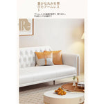 ソファー ベージュ オレンジ ライトブルー ブルー グレー カラー1 カラー2 カラー3 カラー4 カラー5 カラー6 カラー7 カラー8 パイン 合皮 fmdgz-3725