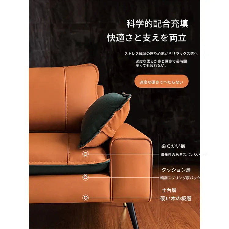 ソファー カラー1 カラー2 カラー3 カラー4 カラー5 無垢材 シリコンフィル 合皮 エアレザー fmdgz-3731