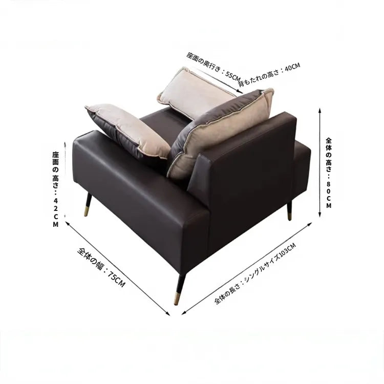 ソファー カラー1 カラー2 カラー3 カラー4 カラー5 無垢材 シリコンフィル 合皮 エアレザー fmdgz-3731