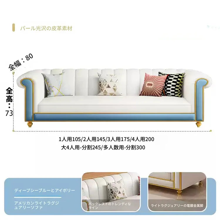 ソファー ベージュ オレンジ グレー ライトブルー ブルー カラー1 カラー2 カラー3 カラー4 無垢材 合皮 fmdgz-3735