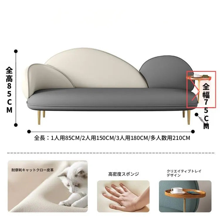 ソファー カラー1 カラー2 カラー3 カラー4 カラー5 カラー6 カラー7 ベージュ 無垢材 合皮 fmdgz-3748