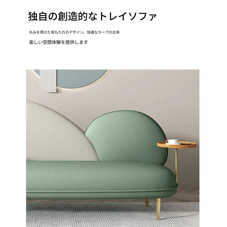 ソファー カラー1 カラー2 カラー3 カラー4 カラー5 カラー6 カラー7 ベージュ 無垢材 合皮 fmdgz-3748