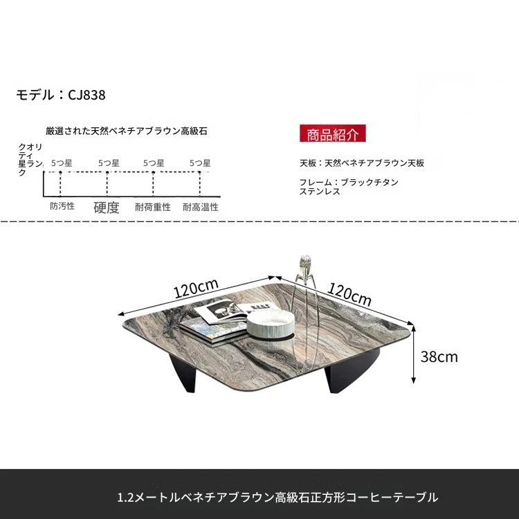 大理石とステンレスのセンターテーブル - モダンデザインでリビングに洗練された雰囲気を演出！ fyeyj-5216