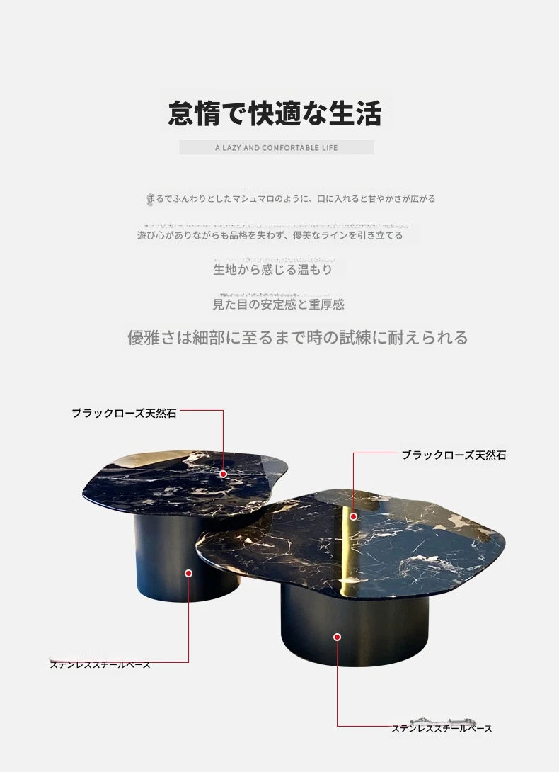 モダンデザイン 大理石とステンレスのセンターテーブル - エレガントなリビング空間を演出 fyeyj-5219