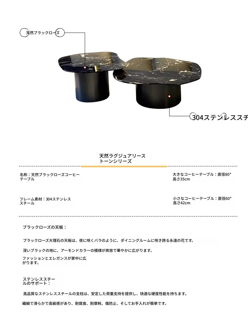 モダンデザイン 大理石とステンレスのセンターテーブル - エレガントなリビング空間を演出 fyeyj-5219