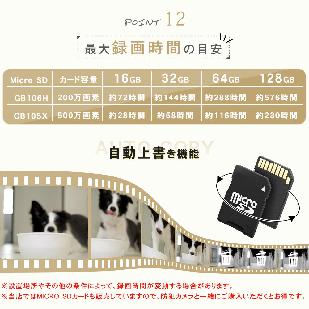 500万画素自動追跡夜間撮影パンチルト対応 Z-GB105