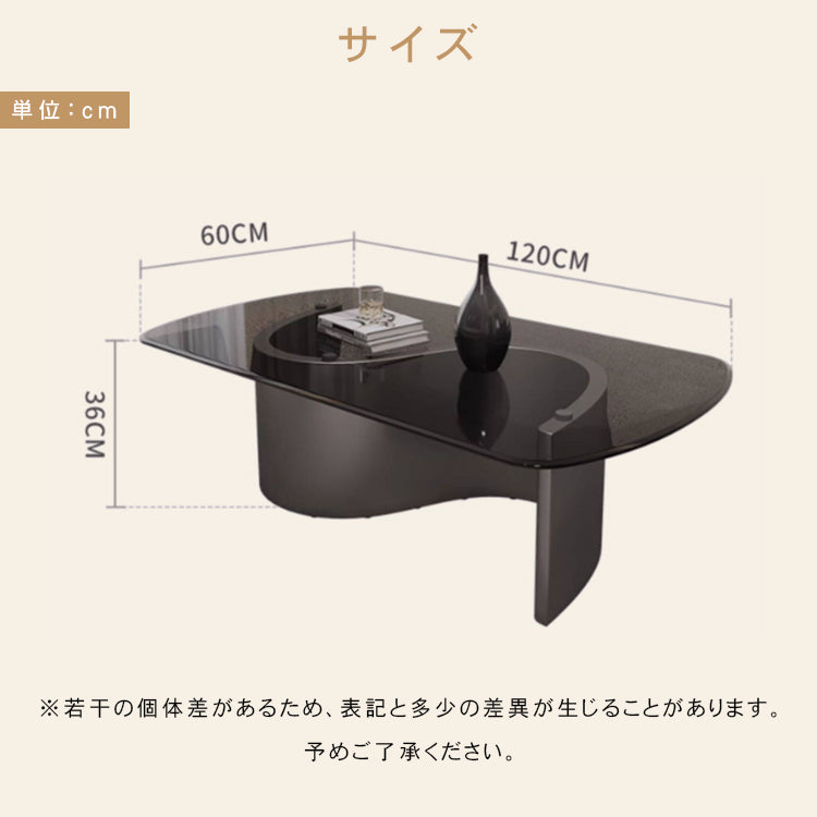ガラス天板 センターテーブル｜イタリアンモダン ブラック 極簡デザイン 省スペース リビング用 hml-6718