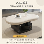 モダンデザイン センターテーブル リビング用有機フォルムのローテーブル 収納付きブラックベース htyjj-6569