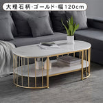北欧モダン楕円形二層セラミック天板コーヒーテーブルリビング鉄製フレーム hzmty-5496
