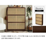 キャビネット ナチュラル ブラウン オーク材 キリ材 ラタン 真鍮 ysys-b3096-storage