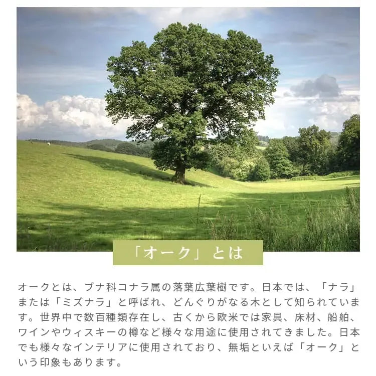 ラック ナチュラル オーク材 モールガラス 真鍮 キリ材 ysys-b3108