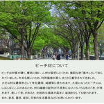 ベッド ナチュラル ケヤキ材 ポプラ材 ファブリック ysys-c3018-bed